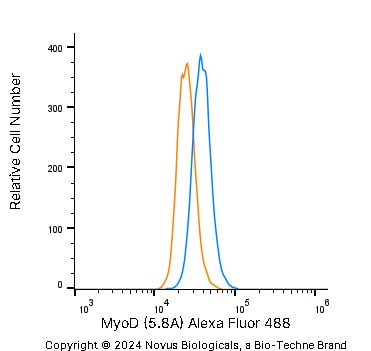 MyoD Antibody (5.8A) - BSA Free