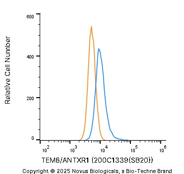 TEM8/ANTXR1 Antibody (200C1339(SB20)) - BSA Free