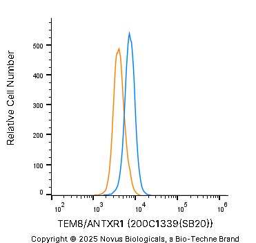 TEM8/ANTXR1 Antibody (200C1339(SB20)) - BSA Free