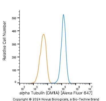 alpha Tubulin Antibody (DM1A) - BSA Free