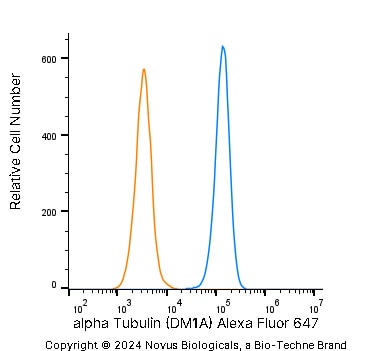 alpha Tubulin Antibody (DM1A) - BSA Free