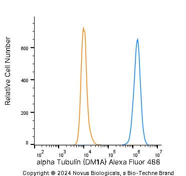 alpha Tubulin Antibody (DM1A) - BSA Free