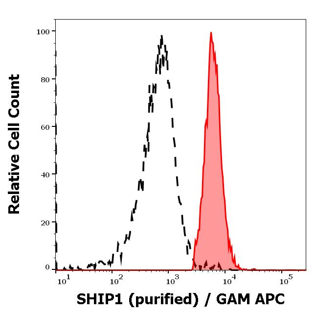 SHIP Antibody (SHIP-01) - BSA Free