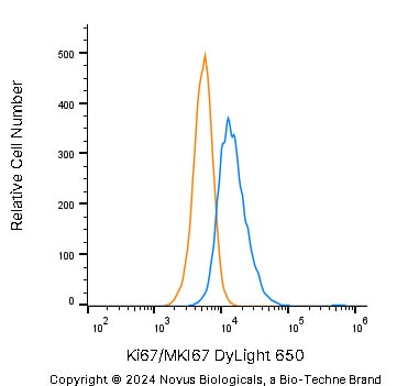 Ki67/MKI67 Antibody - BSA Free