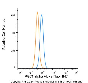 PGC1 alpha Antibody - BSA Free