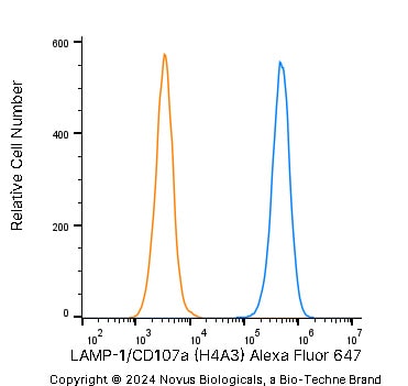 LAMP-1/CD107a Antibody (H4A3) - Azide and BSA Free
