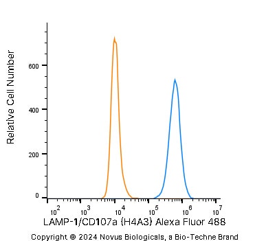 LAMP-1/CD107a Antibody (H4A3) - Azide and BSA Free