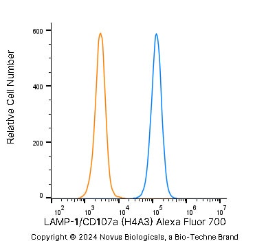 LAMP-1/CD107a Antibody (H4A3) - Azide and BSA Free