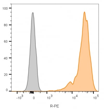 CD45 Antibody (2B11)