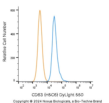 CD63 Antibody (H5C6) - BSA Free