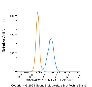 Cytokeratin 5 Antibody - BSA Free