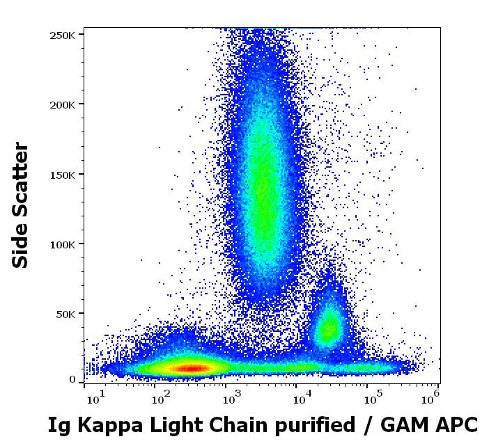 Ig Kappa Light Chain Antibody (TB28-2) - BSA Free