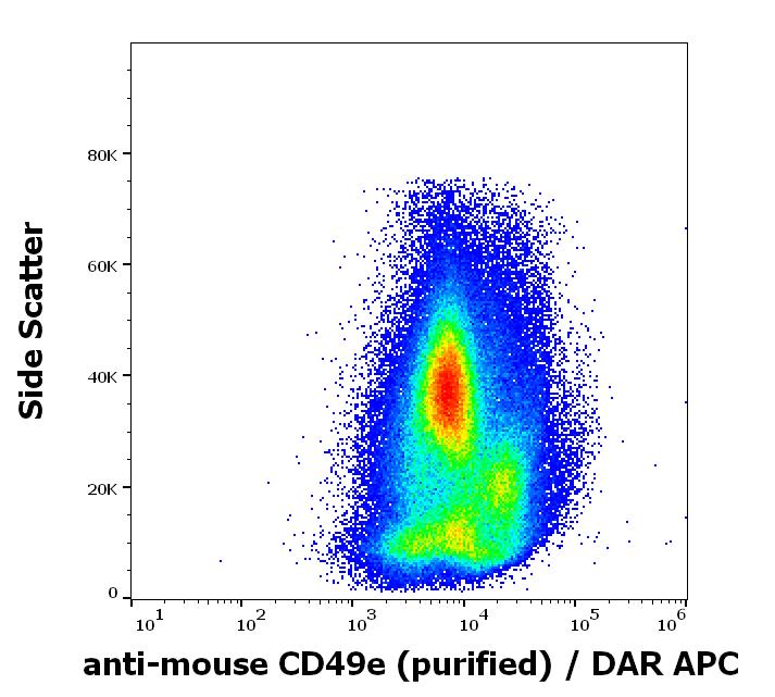 Integrin alpha 5/CD49e Antibody (5H10-27 (MFR5)) - BSA Free