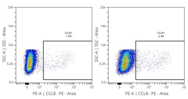 CCL8/MCP-2 Antibody (CCL8/3683) - Azide and BSA Free