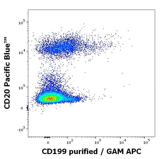 CCR9 Antibody (C9Mab-1) - BSA Free