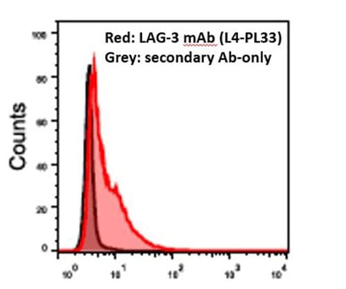 LAG-3 Antibody (L4-PL33) - BSA Free