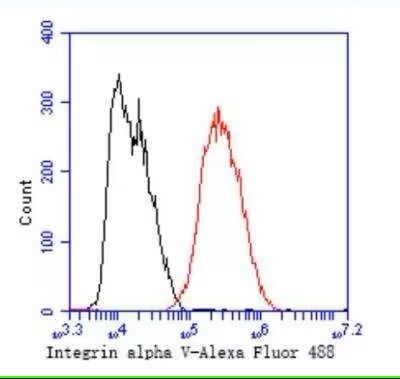 Integrin alpha V/CD51 Antibody (SC56-07)