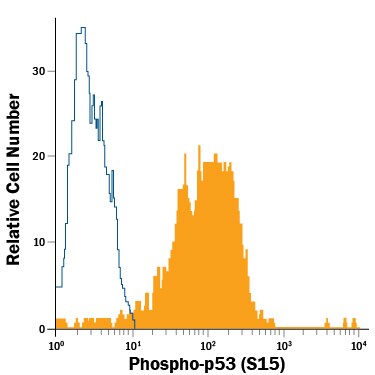 Detection of p53 antibody in Camptothecin-treated MCF-7 Human Cell Line antibody by Flow Cytometry.