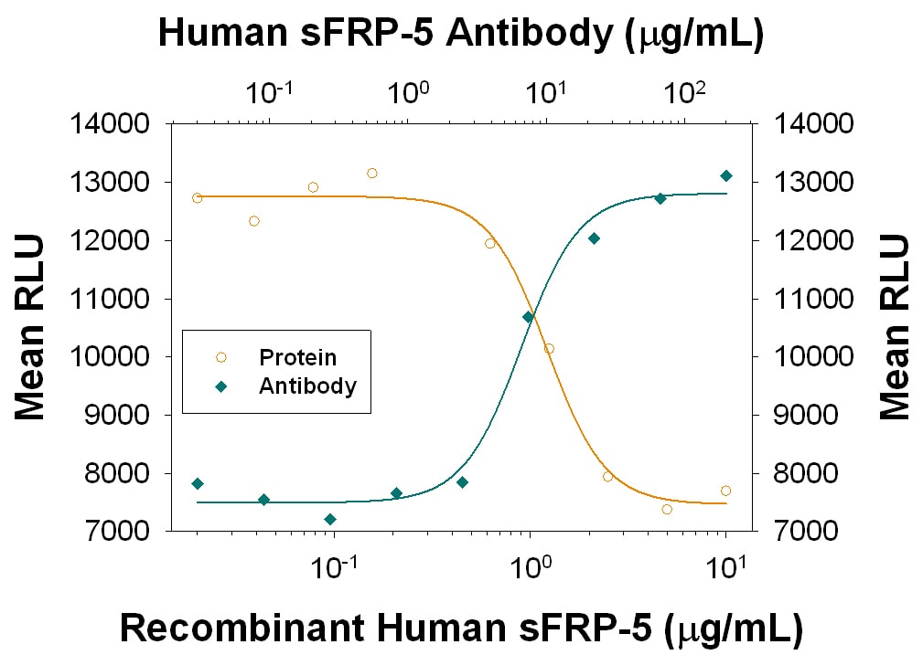 Topflash Reporter Activity Inhibited by sFRP‑5 and Neutralization by Human sFRP‑5 Antibody.