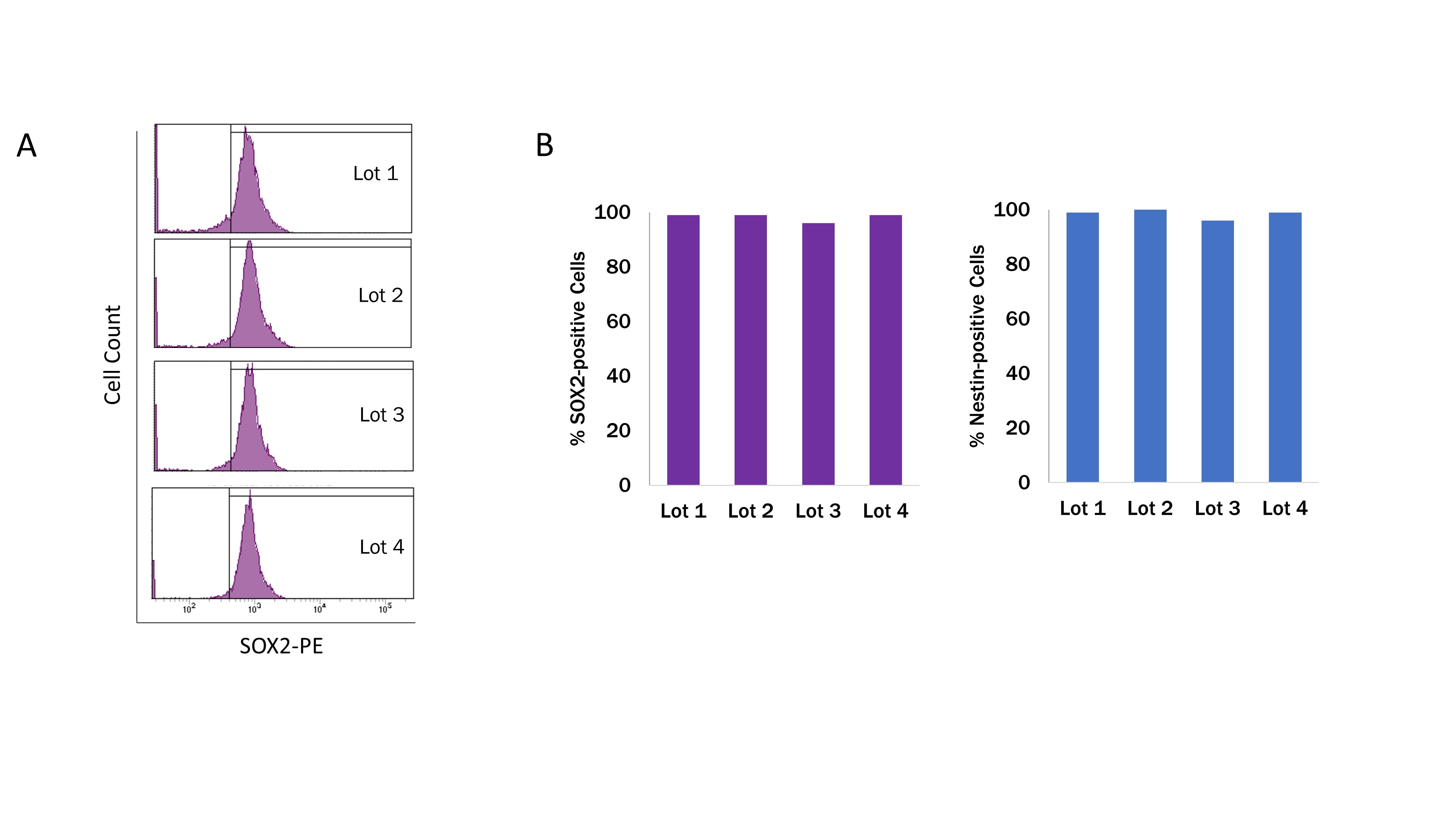 Lot Consistency of GMP N-2 MAX_AR016