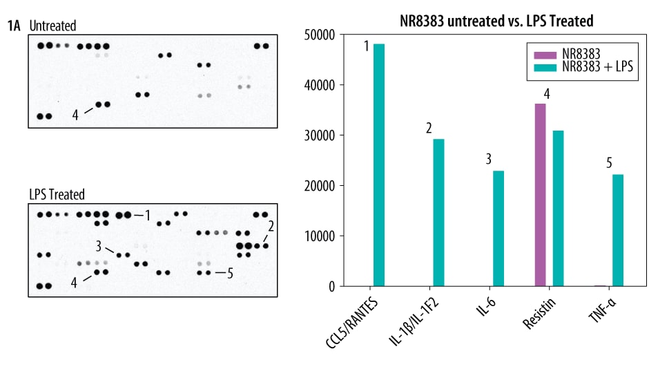 The Mouse XL Cytokine Array detects multiple cytokines, chemokines, growth factors and other soluble proteins in cell culture supernates.