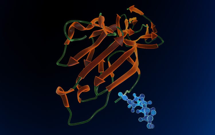 biotinylated proteins