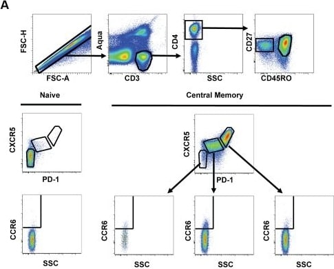 Detection of Human PD-1 by Flow Cytometry