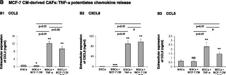 Detection of Human Human IL-8/CXCL8 Biotinylated Antibody by ELISA