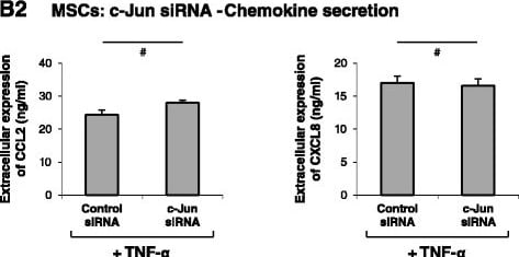 Detection of Human CXCL8/IL-8 by ELISA
