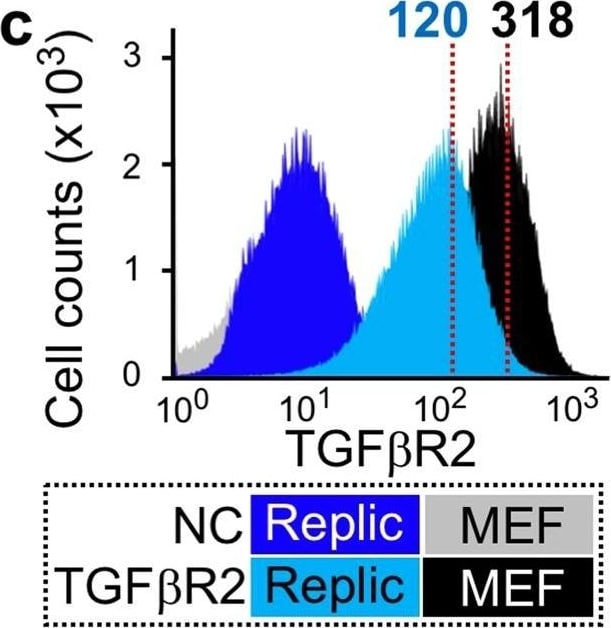 Detection of Mouse TGF-beta RII by Flow Cytometry