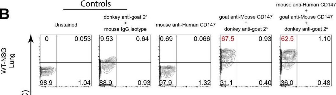 Detection of EMMPRIN/CD147 by Flow Cytometry