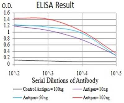 ELISA: beta-1,3-Glucuronyltransferase 1/B3GAT1 Antibody (3B8B10) - BSA Free [NBP2-61708]