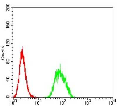 Flow Cytometry: beta-1,3-Glucuronyltransferase 1/B3GAT1 Antibody (3B8B10) - BSA Free [NBP2-61708]