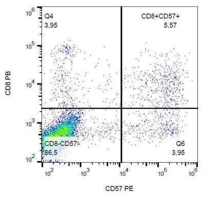 Flow (Cell Surface): CD57 Antibody (TB01) [NBP2-62203]
