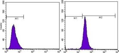 Flow Cytometry: beta-Actin Antibody (8H10D10) - Azide and BSA Free [NBP2-80595]