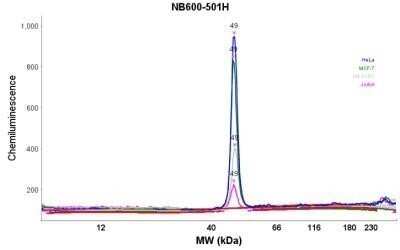 Simple Western: beta-Actin Antibody (AC-15)BSA Free [NB110-67828]