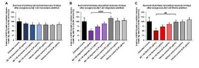 In vitro assay: beta Amyloid 42 Peptide [NBP3-18318]