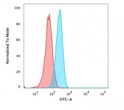 Flow Cytometry: beta-Catenin Antibody [NBP2-29476]