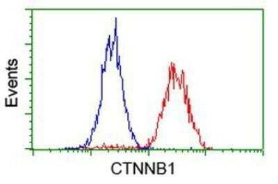 Flow Cytometry: beta-Catenin Antibody (OTI12H7) - Azide and BSA Free [NBP2-70509]
