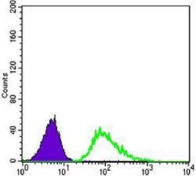 Flow Cytometry: beta-III Tubulin Antibody (2E9) [NBP1-42568]