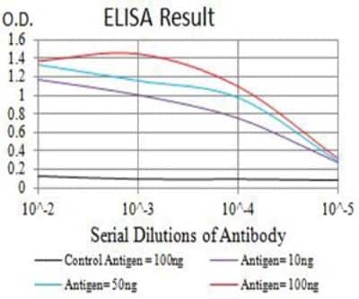 ELISA: beta-TrCP1/BTRC Antibody (3D5E6) - BSA Free [NBP2-61713]