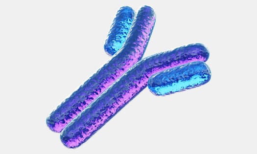 Antibodies surrounding vials