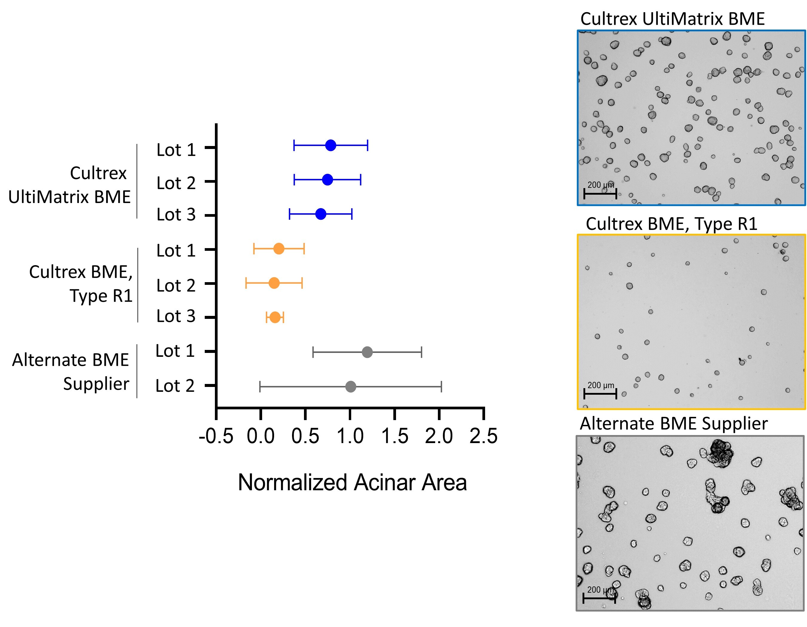 Improved Spheroid (Acinar) Maturation and Consistency Compared to Other Commercial Matrices