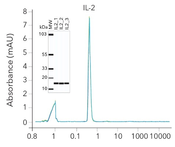 Purity consistency of GMP Human IL-2 Protein
