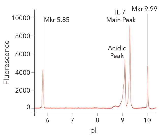 Charge consistency of GMP Human IL-7 Protein