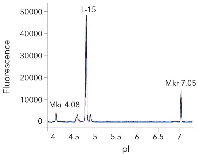 Charge consistency of GMP Human IL-15 Protein