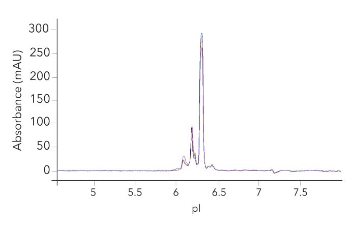 Charge consistency of GMP Human SCF Protein