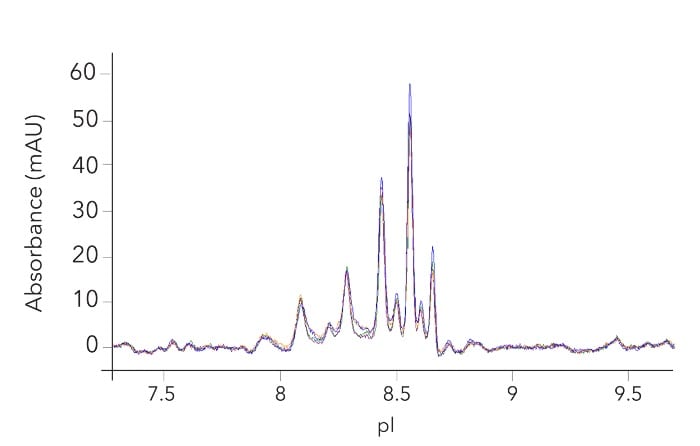 Charge consistency of GMP Human VEGF 165 Protein