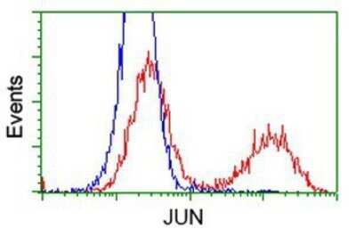 Flow Cytometry: c-jun Antibody (OTI3G2) - Azide and BSA Free [NBP2-71059]