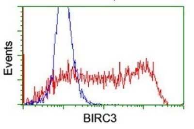 Flow Cytometry: cIAP-2/HIAP-1 Antibody (OTI1A9) - Azide and BSA Free [NBP2-70184]